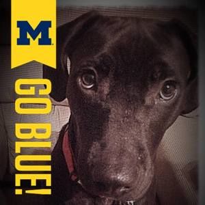 Meet your Posher, Colette